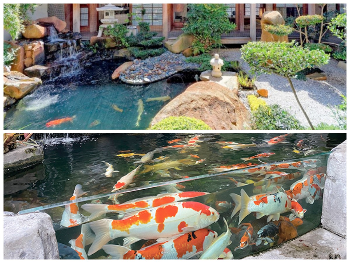 Halaman Terlihat Lebih Asri! Ide Kolam Ikan Natural yang Cantik dan Praktis Diterapkan