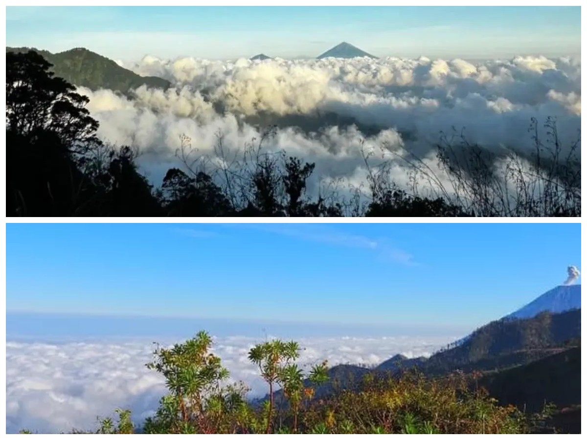 Jejak Dewa dan Cerita Rakyat: Menelusuri Sejarah Gunung Tapak yang Penuh Misteri