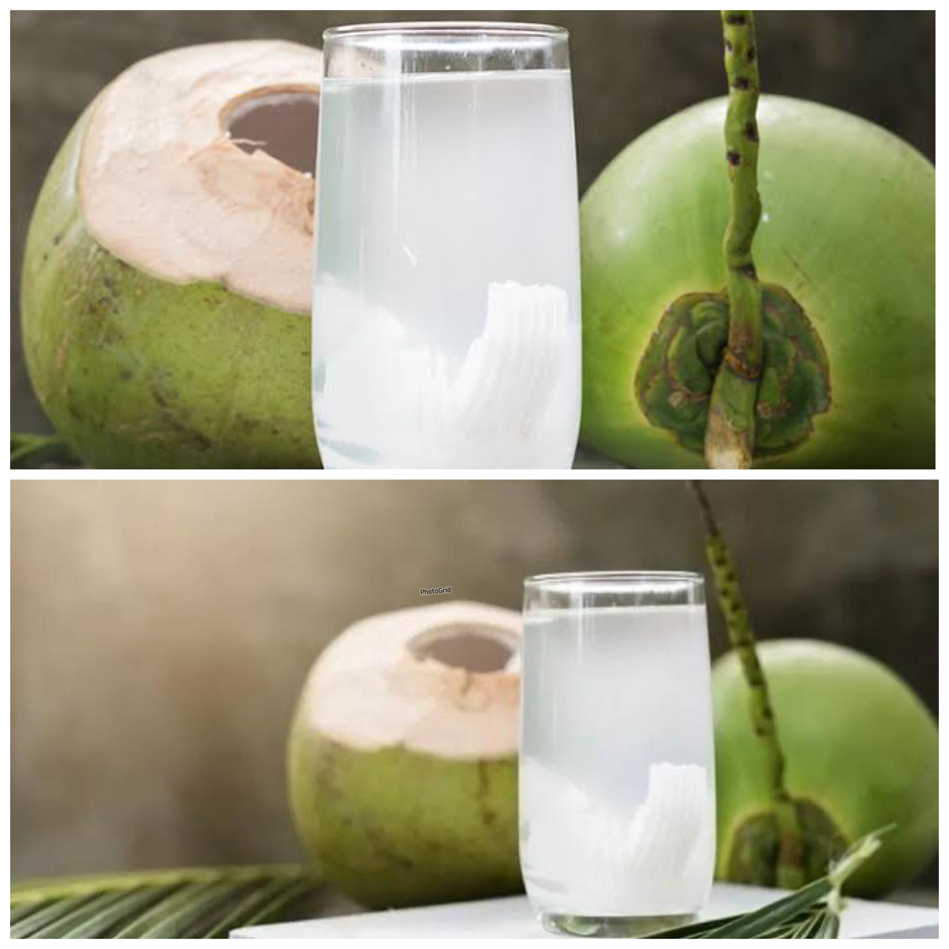 Rahasia Kesegaran Air Kelapa Muda untuk Menjaga Tubuh Tetap Fit!