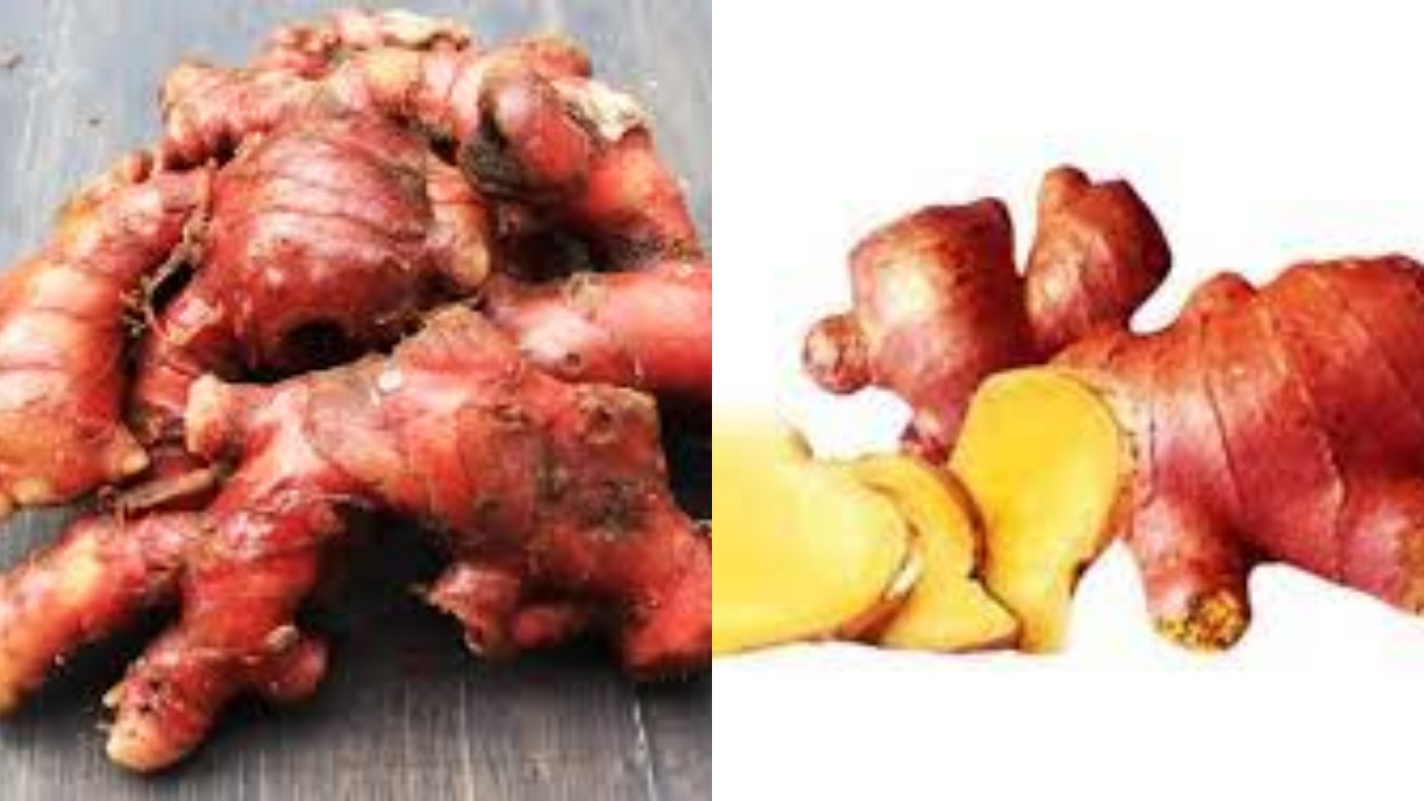 Inilah 8 Manfaat Jahe Merah Yang Baik untuk Kesehatan Harus Kalian Tahu!