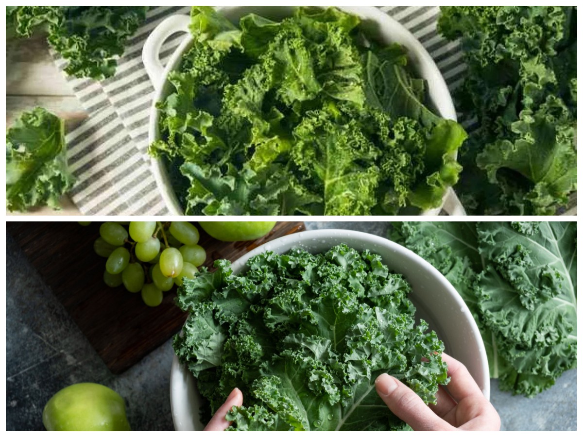 Kenapa Kale Disebut Superfood? Intip Kandungan dan Kebaikannya untuk Kesehatan