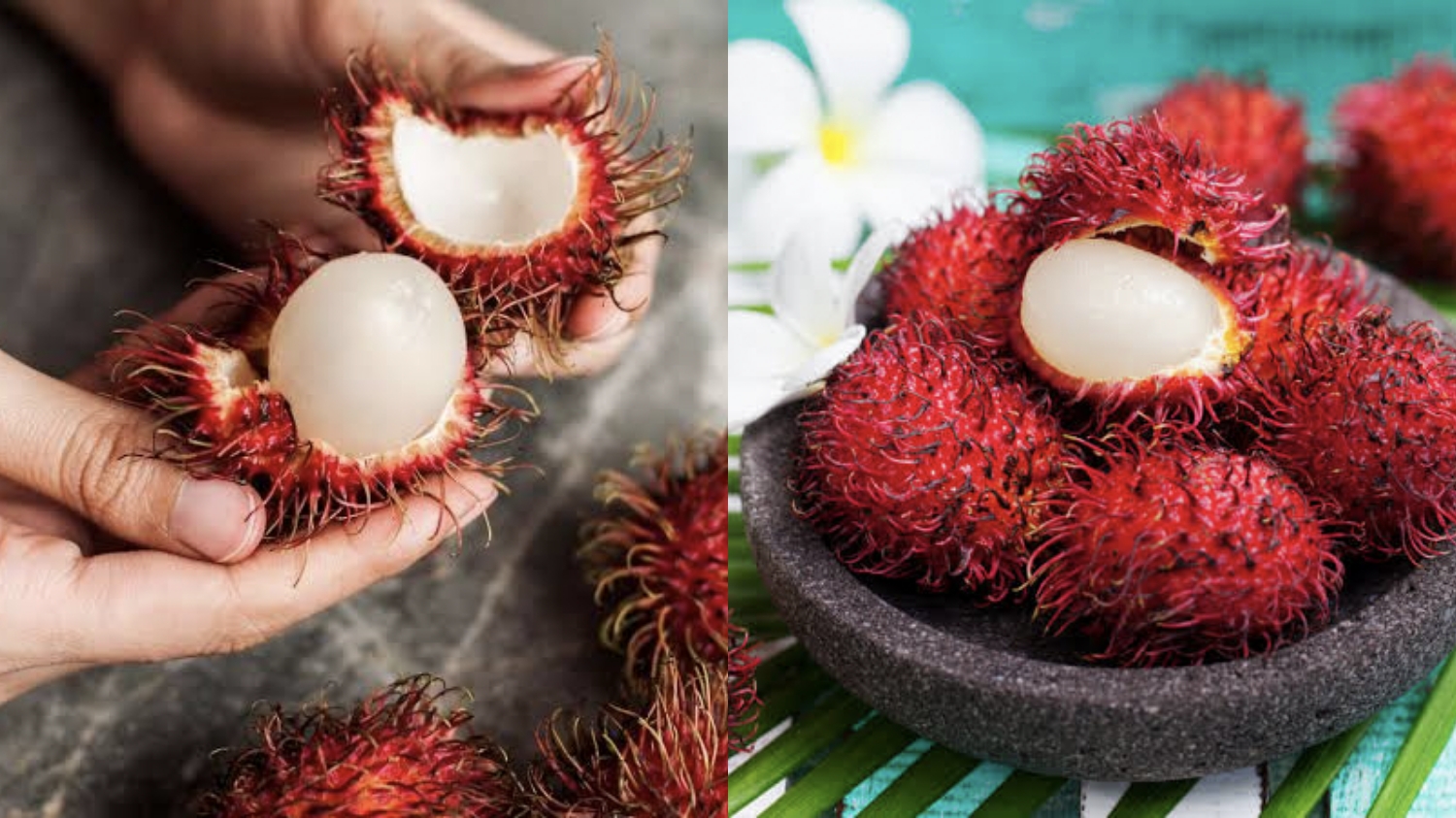 Manfaat Buah Rambutan untuk Tubuh, Dari Kulit Sehat hingga Imun Kuat