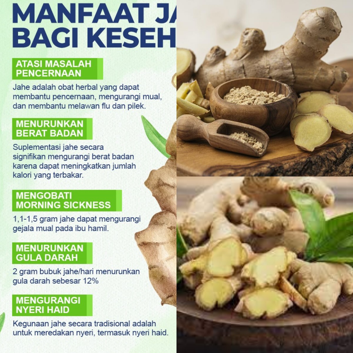 Jahe Sebagai Obat Alami? Ini Dia 5 Rahasia Kesehatan yang Bisa Kamu Dapatkan!