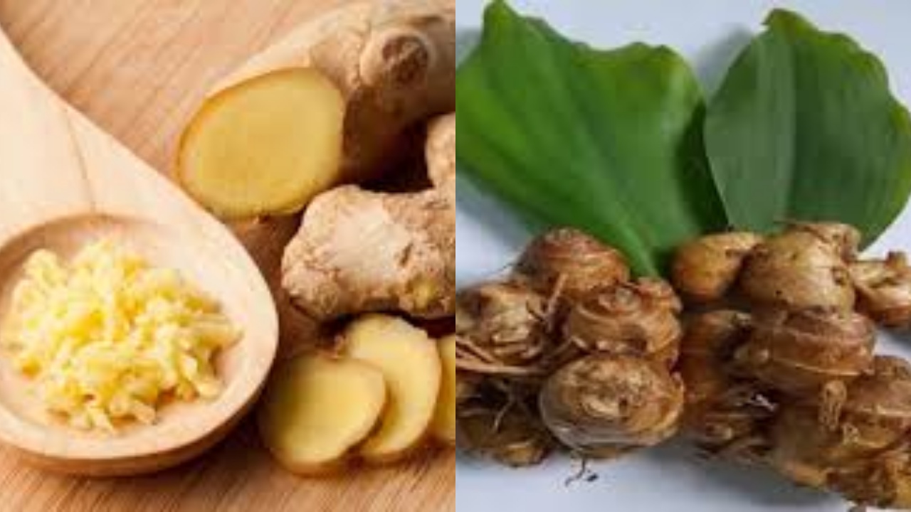 8 Manfaat Kencur untuk Kesehatan: Nutrisi dan Tips Konsumsi