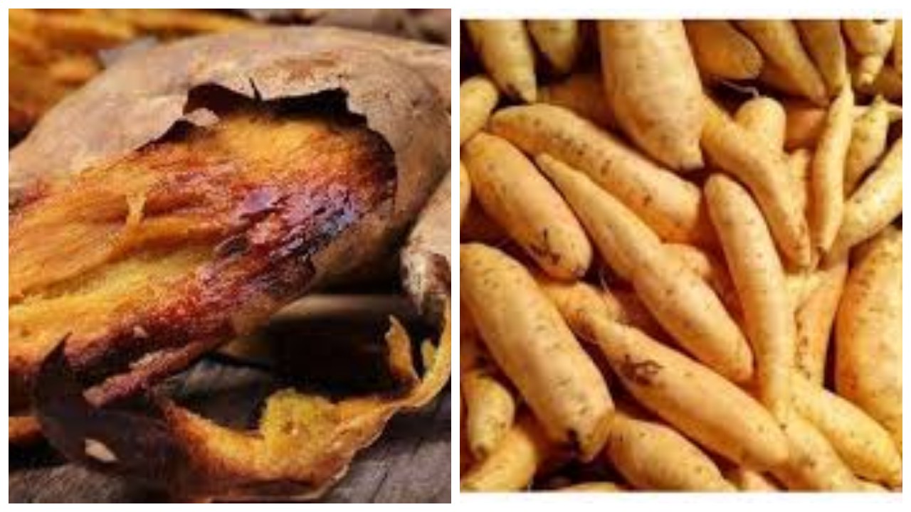 6 Khasiat Ubi Cilembu: Dari Melancarkan Pencernaan hingga Mencegah Kanker