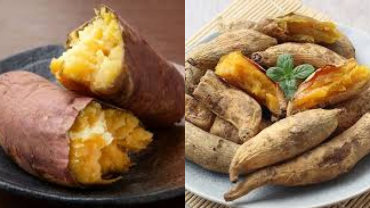 Inilah Nutrisi dan Manfaat Ubi Madu Untuk Kesehatan Yang Jarang Diketahui!