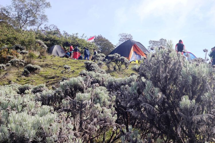 NGERI! Ada Hantu Di Gunung Gede Pangrango, Pendaki Masih Berani Kesini?  