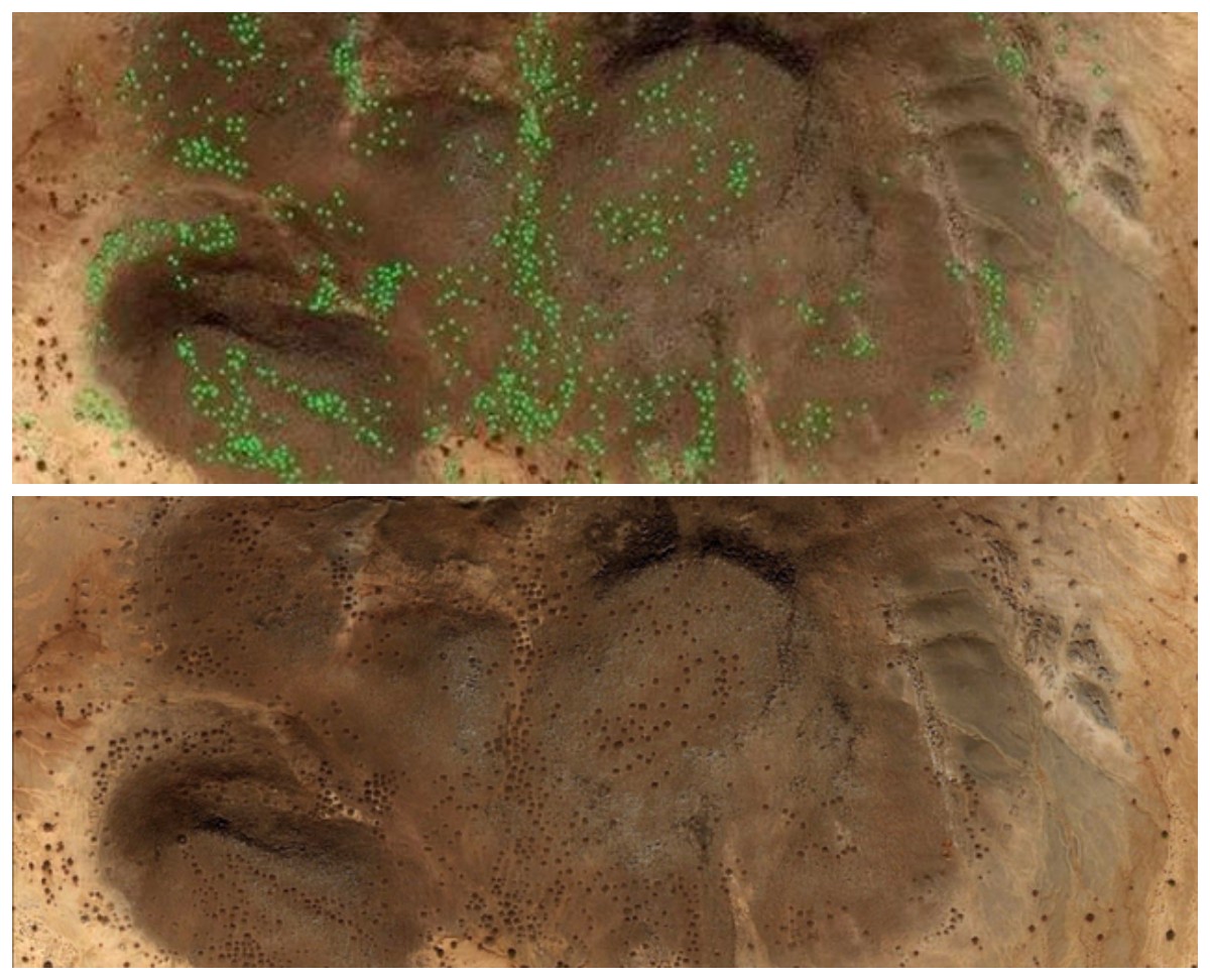 Gunakan Citra Satelit! Tim Arkeolog Berhasil Temukan 10.000 Makam Kuno di Suriah
