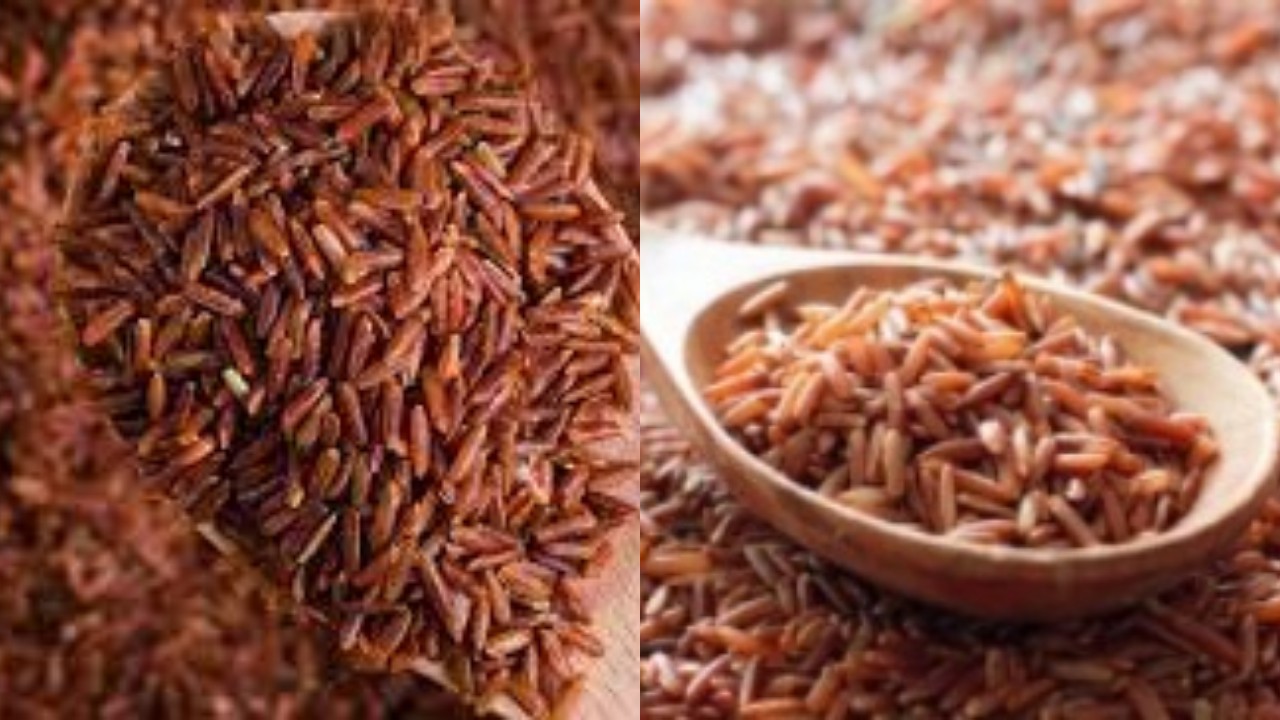 Manfaat Beras Merah untuk Diabetes, Bantu Kendalikan Gula Darah Secara Alami!