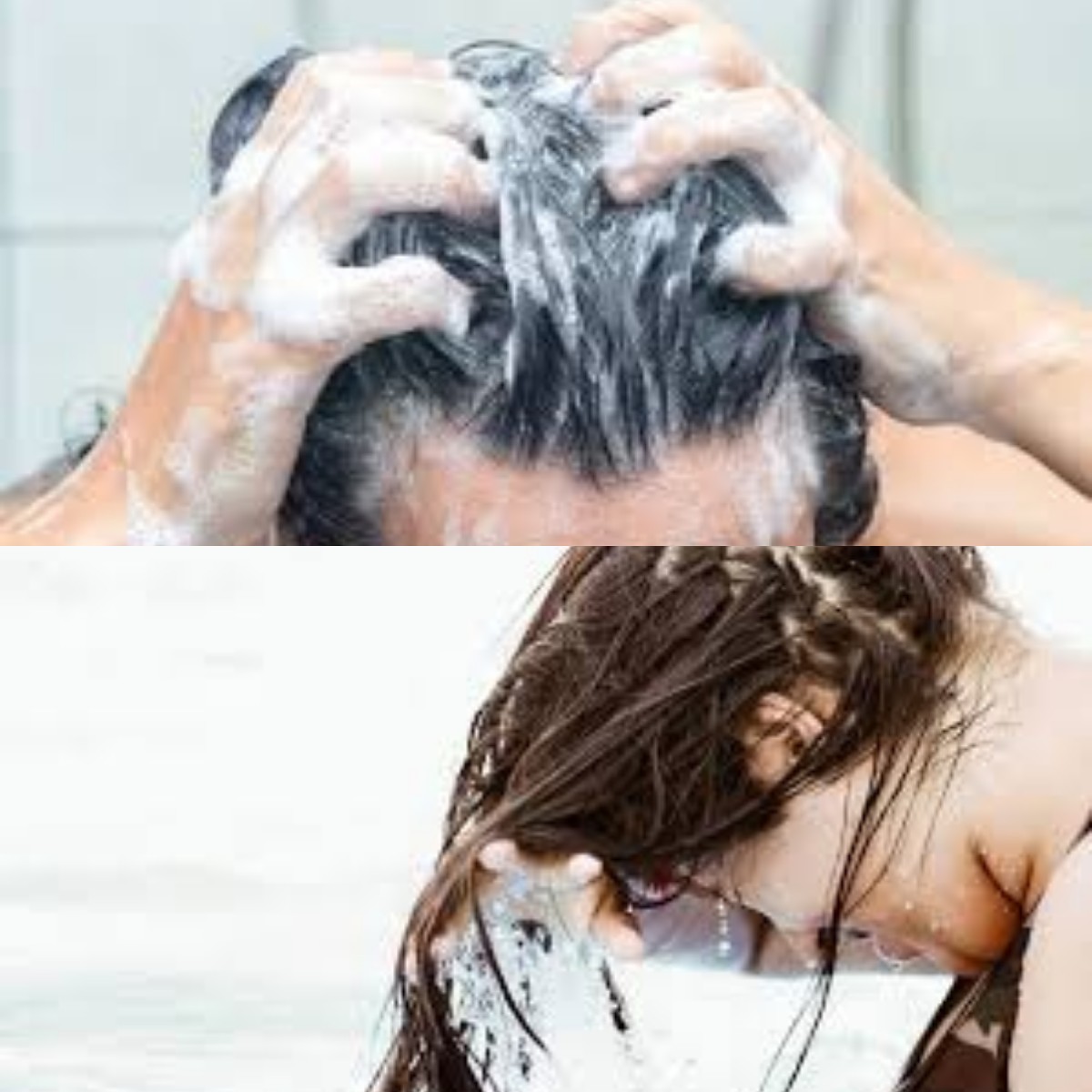 Apakah Mencuci Rambut Setiap Hari Dapat Menghancurkan Kualitas Rambut? Simak Faktanya Sebelum Menyesal