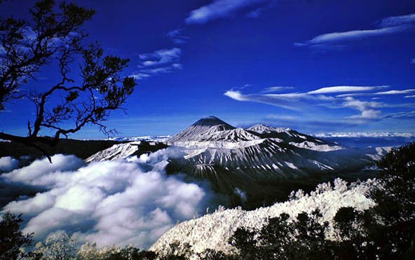 Menyusuri Gunung Jayawijaya yang Memiliki Pemandangan Sangat Indah dan Penuh Misteri!