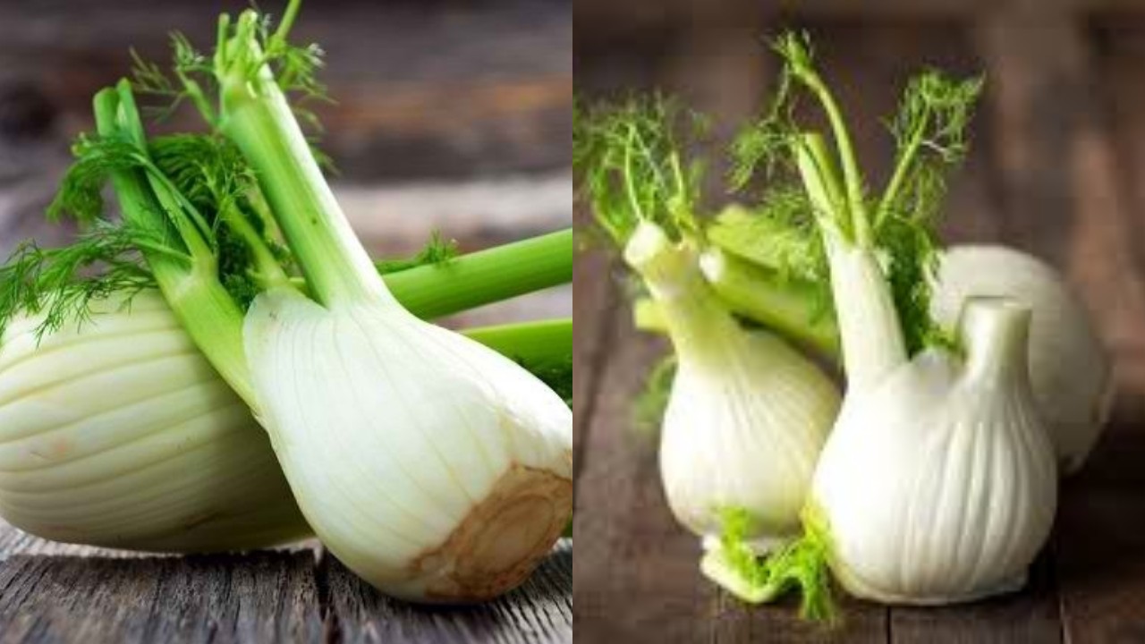 Tak Hanya Bumbu Dapur, Inilah Aneka Manfaat Adas untuk Tubuh yang Jarang Diketahui!