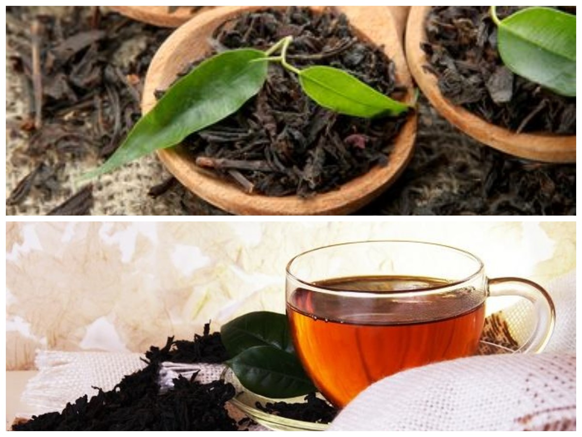 Rahasia Sehat Teh Hitam: Ini Dia 10 Manfaatnya bagi Tubuh