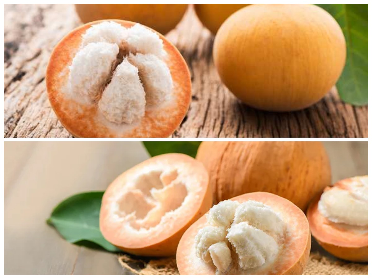 Manfaat Buah Kecapi bagi Kesehatan Tubuh: Kaya Antioksidan dan Baik untuk Jantung!