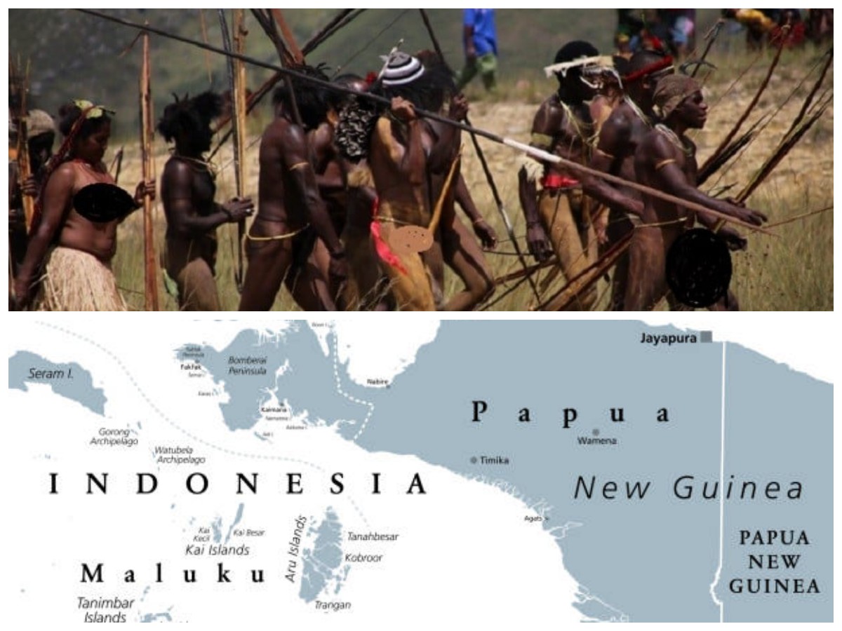 Dua Wilayah, Satu Pulau: 5 Perbedaan Papua Indonesia dan Papua Nugini yang Unik