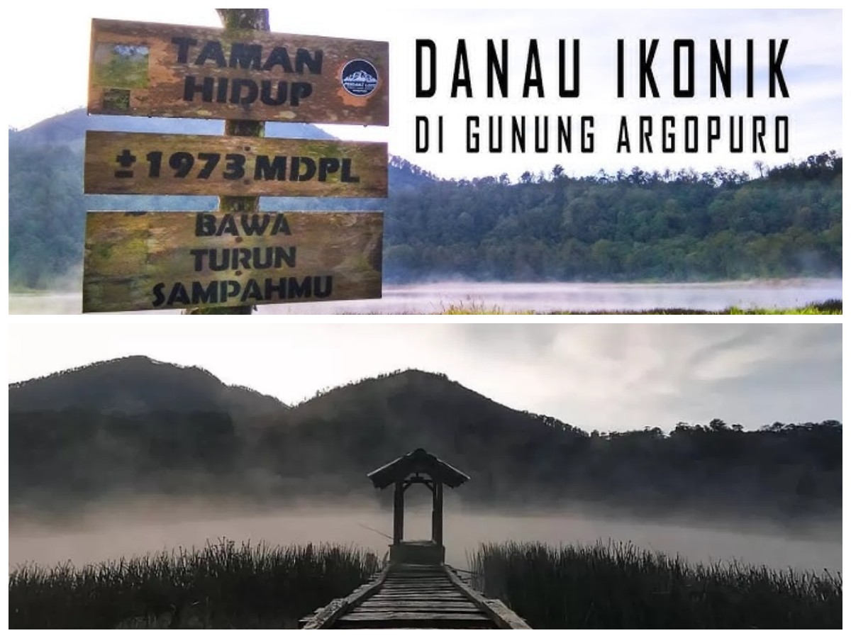 Pesona Mistis Argopuro: Mengungkap Rahasia di Balik Danau Taman Hidup