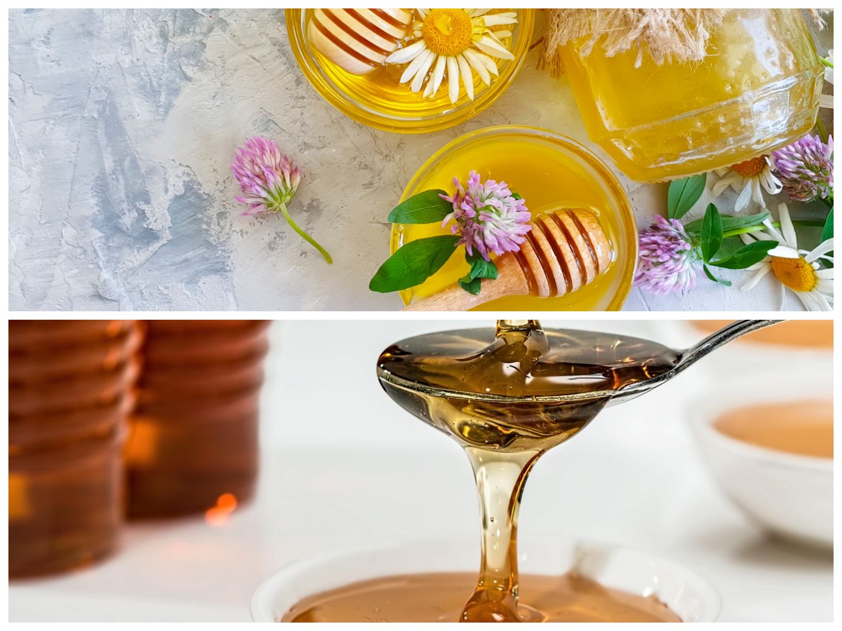 Mengenal Madu Clover: Manfaat Sehat Alami yang Jarang Diketahui