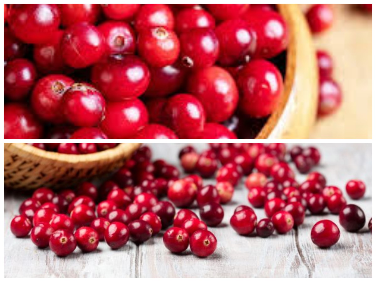 Keajaiban Cranberry: Buah Kecil yang Penuh Manfaat untuk Kesehatan Anda