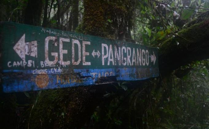 PENUH MISTERI! Ternyata di Gunung Pangrango Terdapat Sosok Misterius Ini! Cek faktanya!