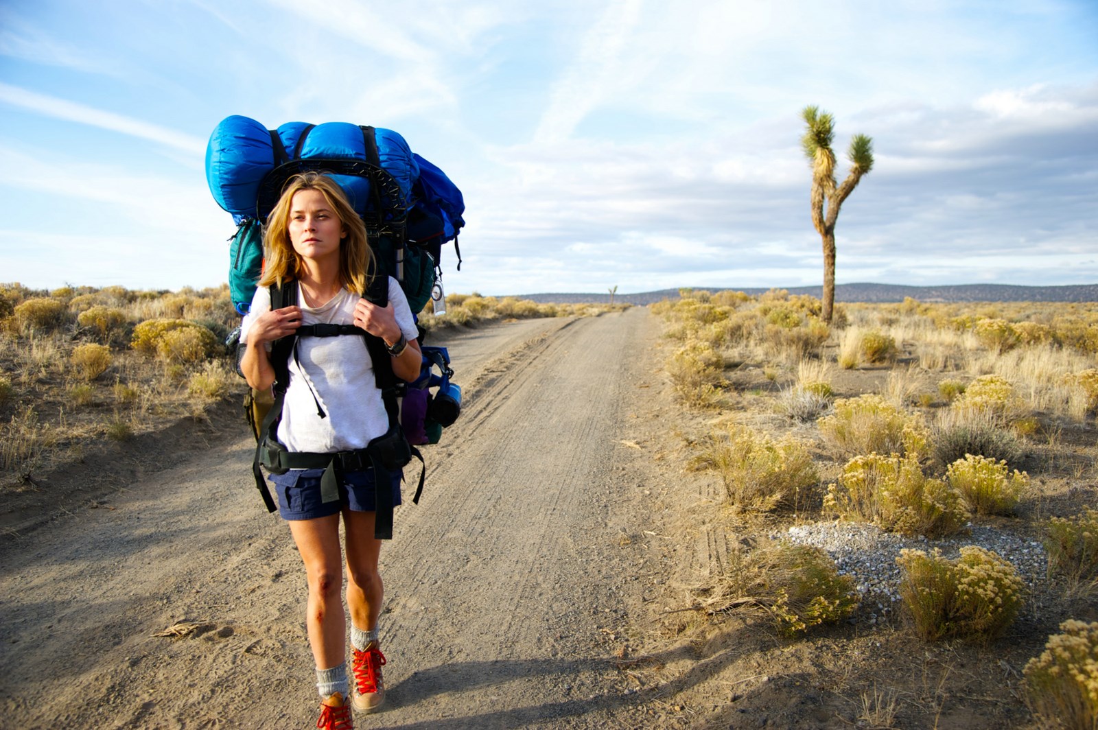 Film Wild, Perjalanan Reese Witherspoon Menyusuri Pasific Crest Trail, Nonton Yuk!