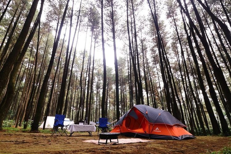 Wisata Alam, Inilah 5 Lokasi Camping yang Populer di Bogor 