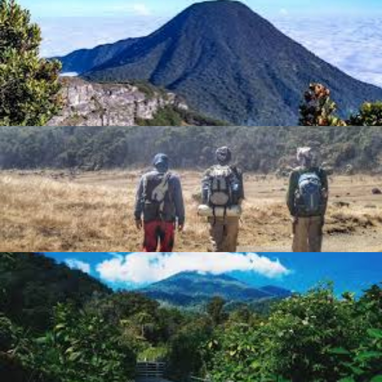  Rekomendasi Jalur Pendakian Gunung Gede yang Jadi Favorit Pendaki, Lihat Disini!