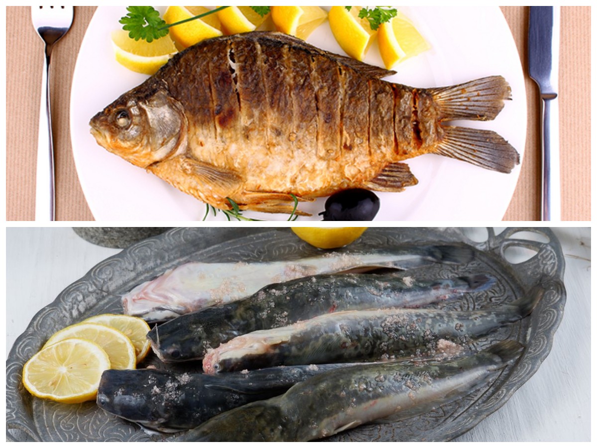 Rekomendasi 6 Ikan Tawar Rendah Purin: Pilihan Tepat untuk Penderita Asam Urat!