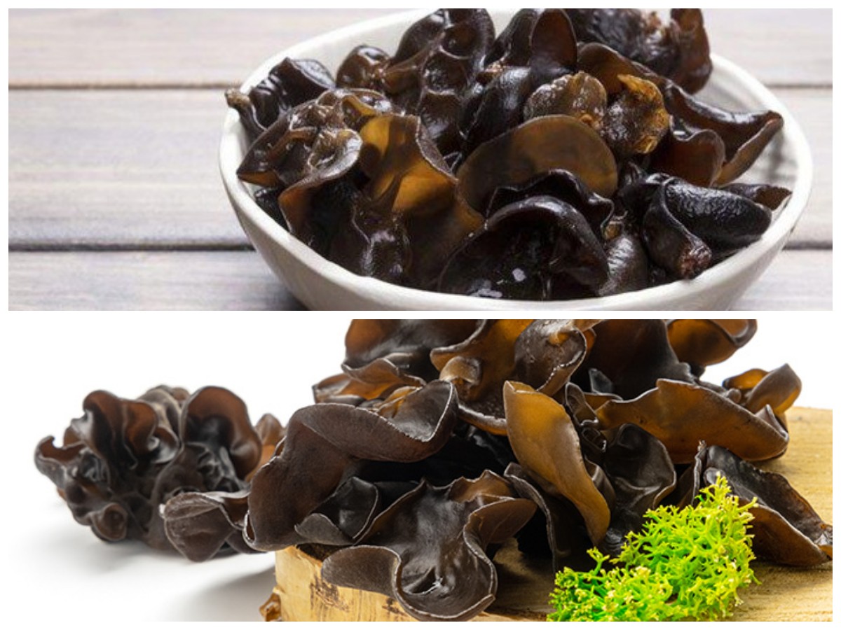 Manfaat Tersembunyi Jamur Kuping untuk Kesehatan yang Jarang Diketahui