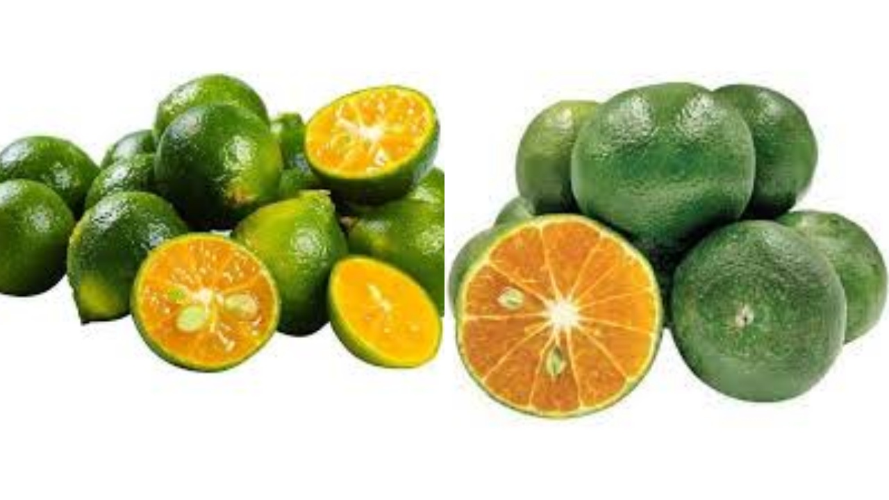 Yuk Ketahui! Manfaat Dari Jeruk Kasturi Untuk Kesehatan Yang Luar Biasa