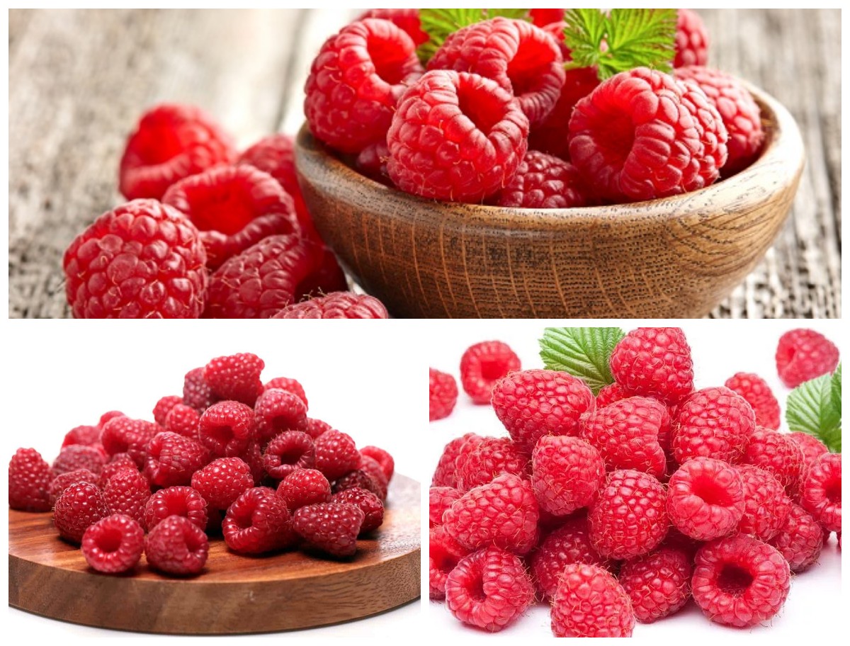 Segudang Manfaat Buah Raspberry: 8 Khasiat Penting untuk Kesehatan Tubuh!