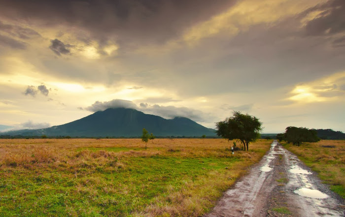 Mari Berlibur! Inilah 4 Objek Wisata Taman Nasional di Jawa Timur yang Wajib Banget Kamu Kunjungi 