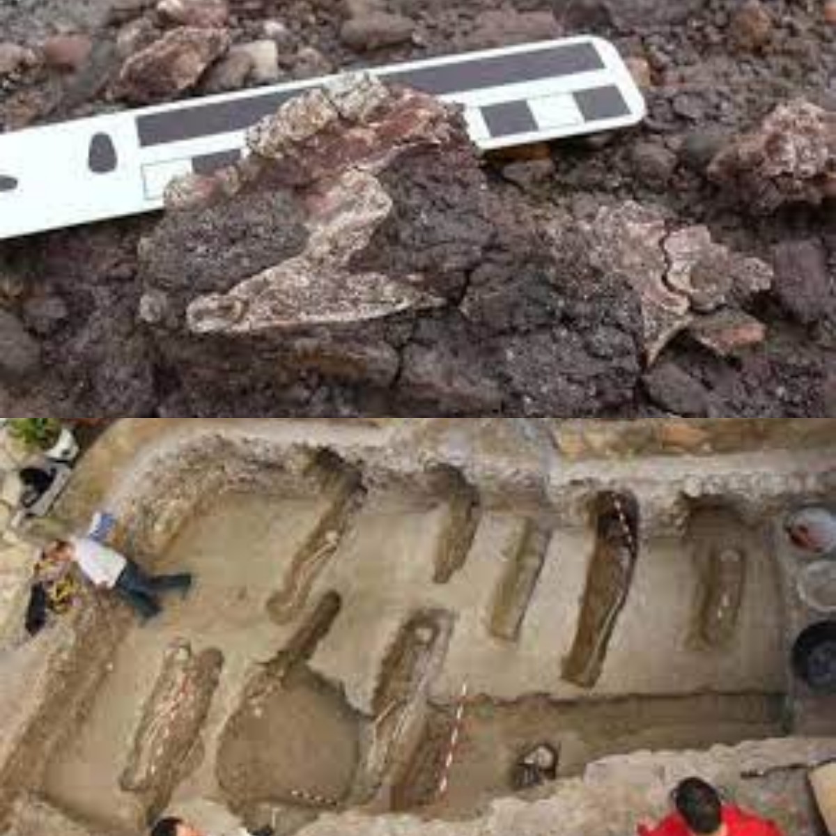 Benarkah Arkeolog Dunia Dilarang Ganggu Kuburan Muslim di Arab? Simak Alasannya Disini! 