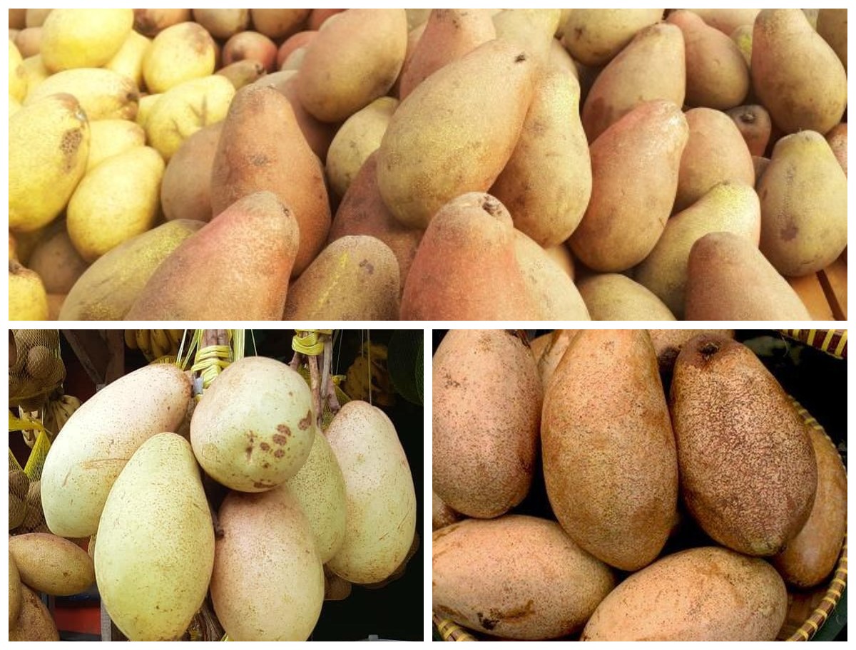 Manfaat Buah Kemang bagi Kesehatan: Si Asam Segar yang Kaya Gizi dan Khasiat Alami!