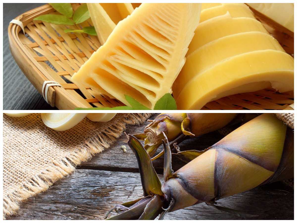 Khasiat Rebung untuk Kesehatan dan Kandungan Gizinya yang Melimpah