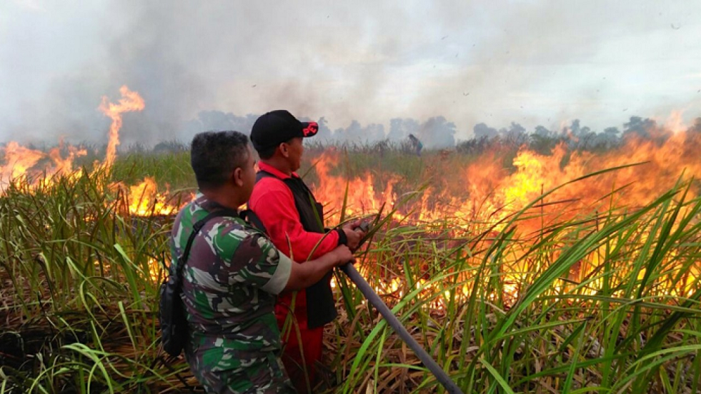 Titik Panas Meluas 8 Armada Disiapkan Atasi Karhutla di Sumsel