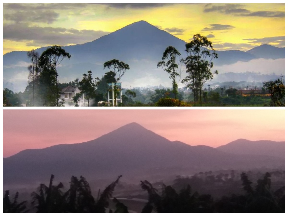 Terungkap! Keindahan Gunung Bukittunggul dan Keunikan Hutan Montane–Submontane yang Jarang Dibahas