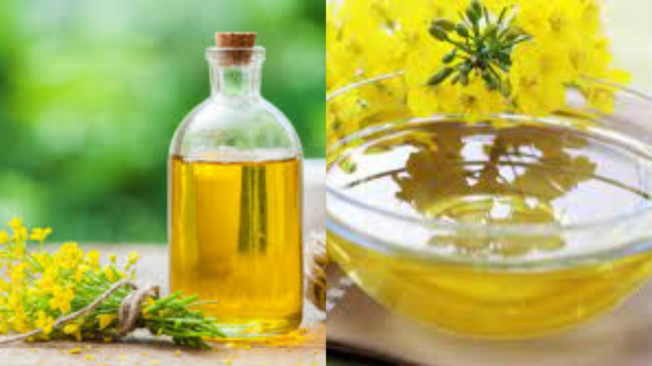 Yuk Kenali Beragam Manfaat Minyak Kalona Untuk Kesehatan Tubuh!