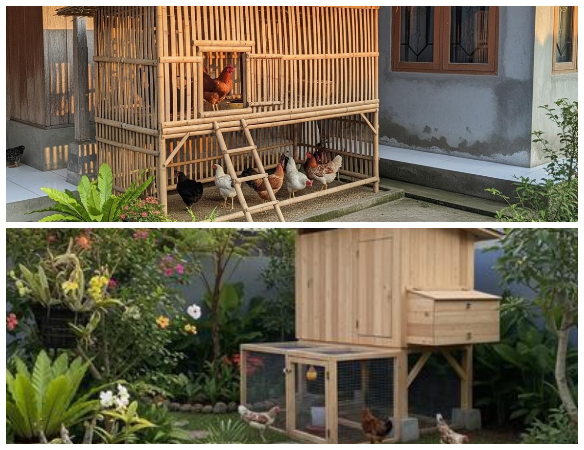 5 Cara Membuat Kandang Ayam Kampung dari Bambu yang Kokoh dan Estetik