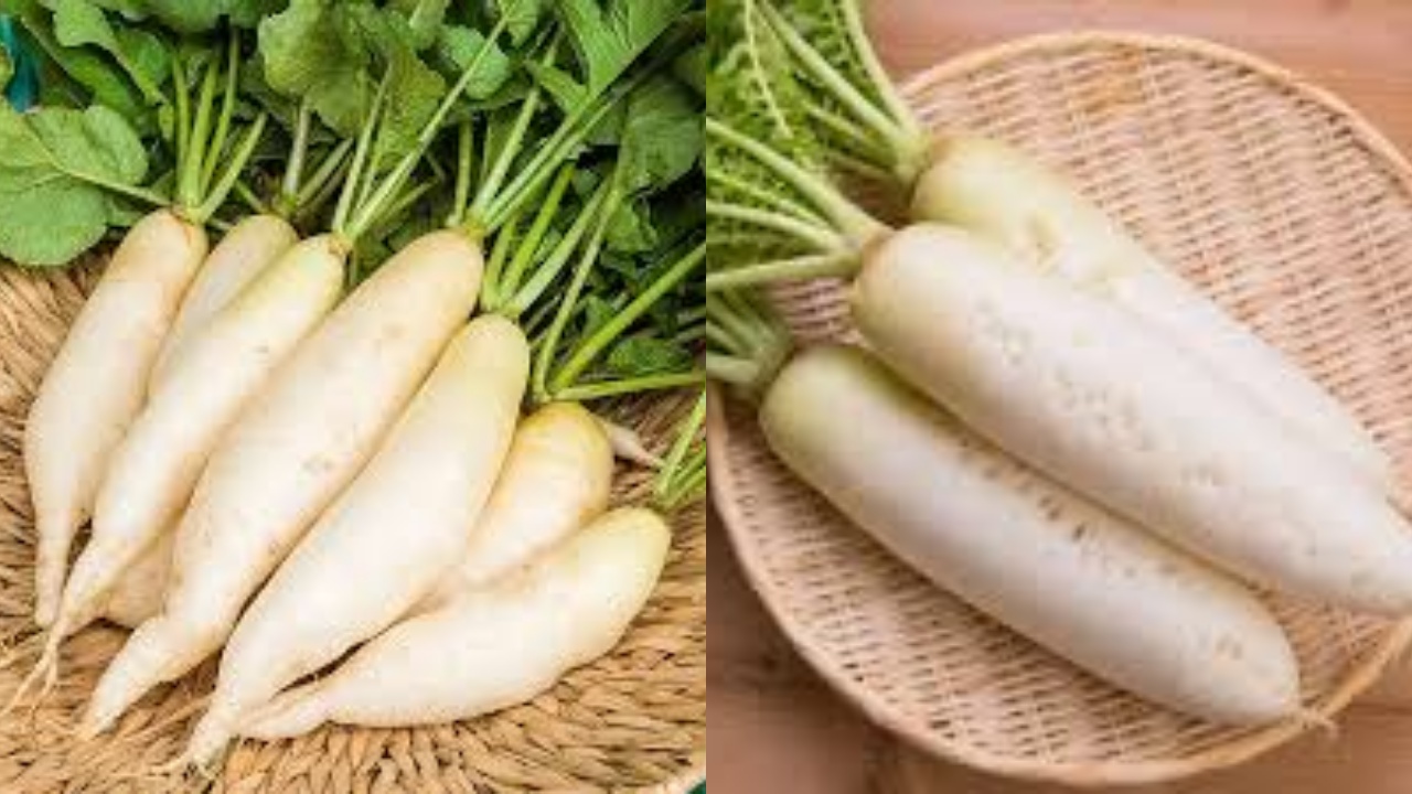Kamu Harus Tahu! Ini 8 Manfaat Lobak Putih Untuk Kesehatan Tubuh 