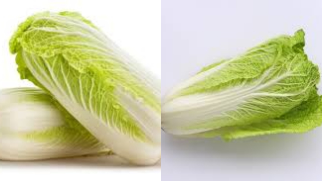 Simak Inilah Manfaat Sawi Putih Untuk Kesehatan Dan Cara Mengolahnya!