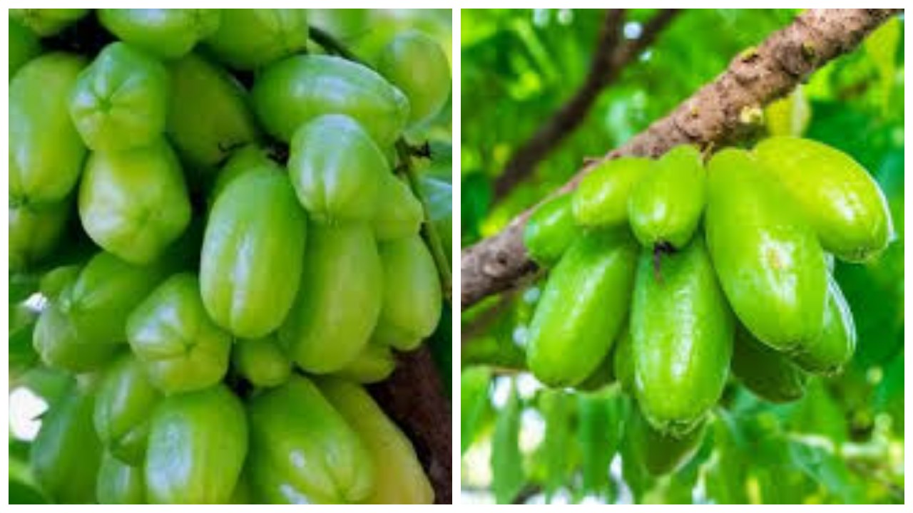 7 Manfaat Belimbing Wuluh untuk Kesehatan: Dari Jerawat hingga Peradangan