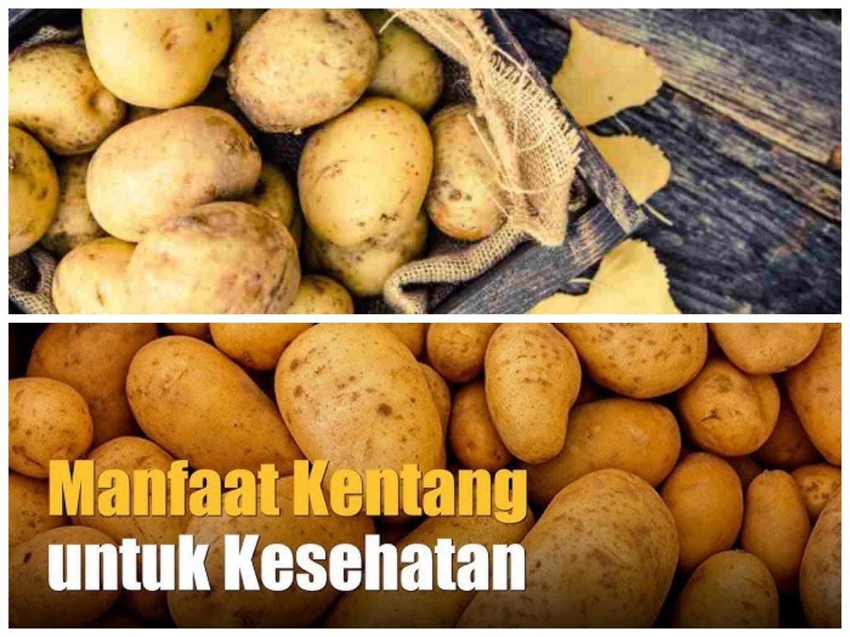 Kentang Superfood: Kandungan Gizi dan Khasiatnya untuk Tubuh