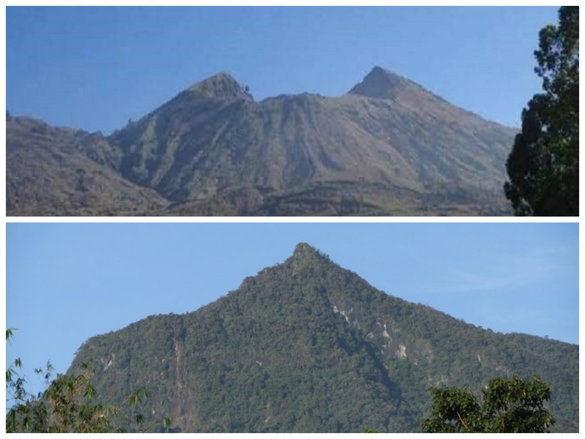 Sejarah Gunung Bukit Raya: Puncak Tertinggi Kalimantan yang Sarat Legenda!