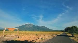 Taman Nasional Baluran, Keindahan Alami Banyuwangi yang Mempesona Serperti di Luar Negeri! 