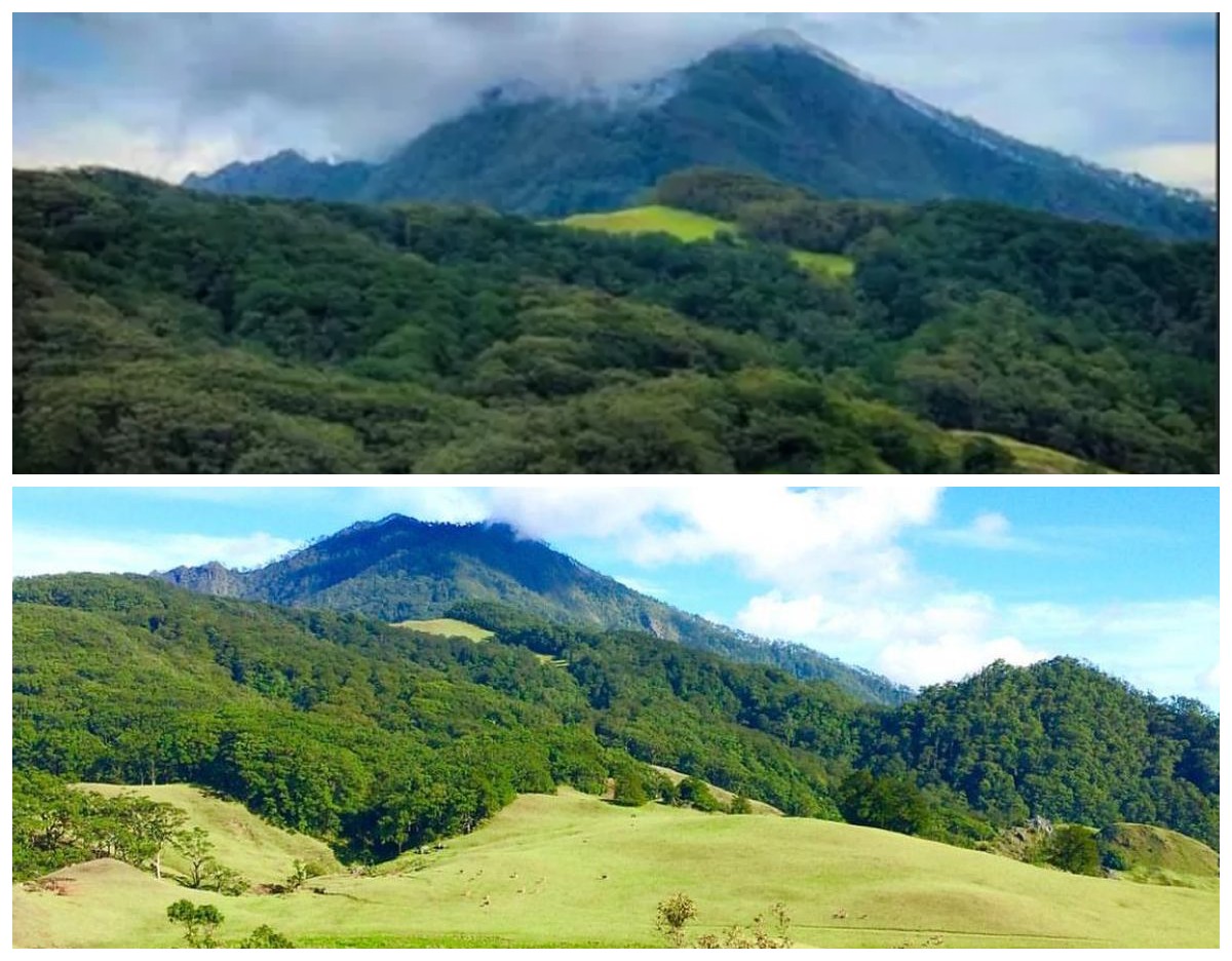 Gunung Mutis: Keindahan Alam yang Memikat dan Pemandangan Spektakuler!