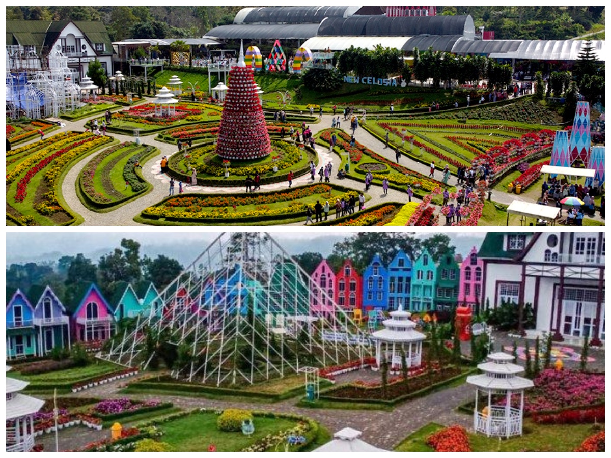 Taman Bunga Celosia, Destinasi Romantis Murah di Semarang yang Menakjubkan!