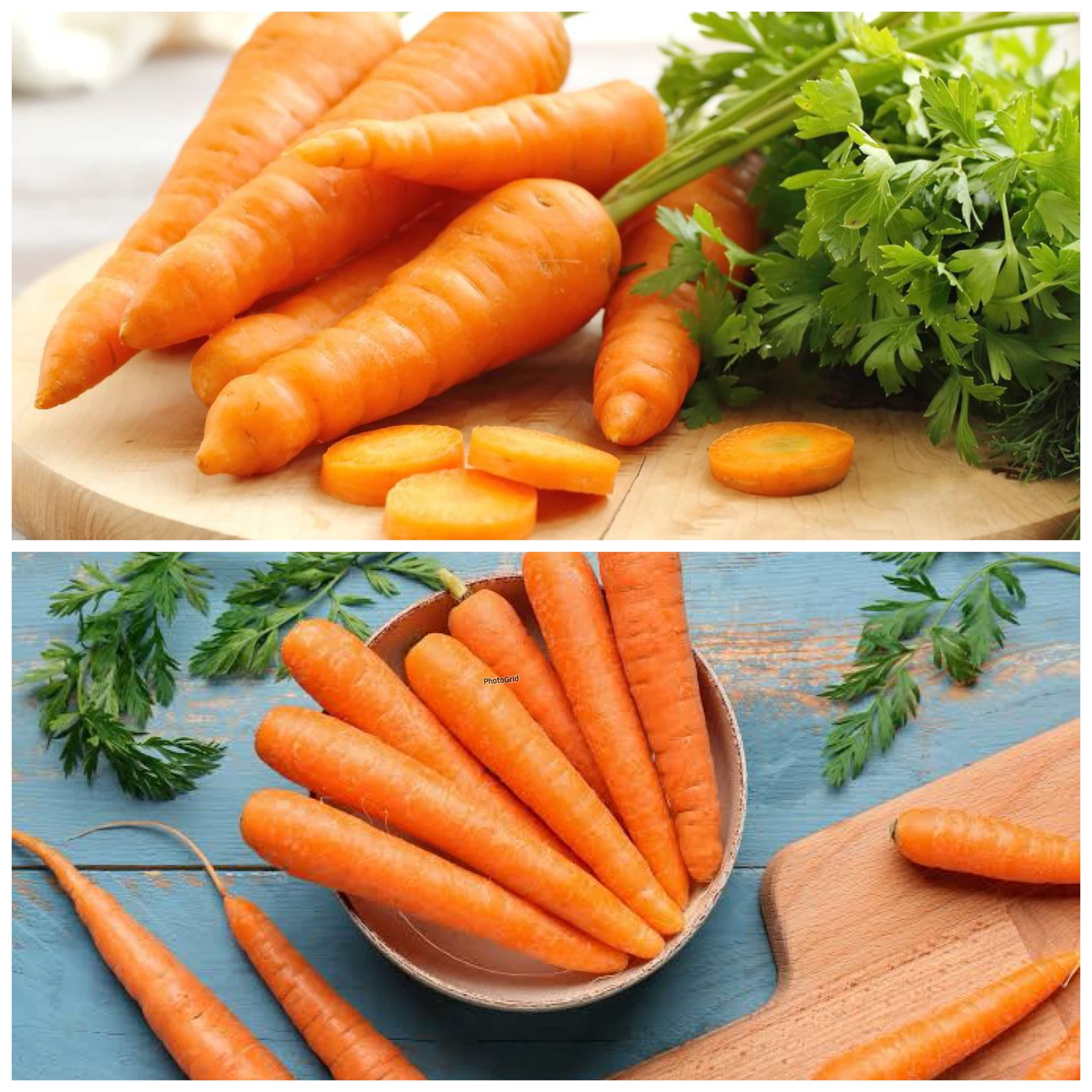 Rahasia Kesehatan Alami: Segudang Manfaat Wortel yang Wajib Anda Ketahui!