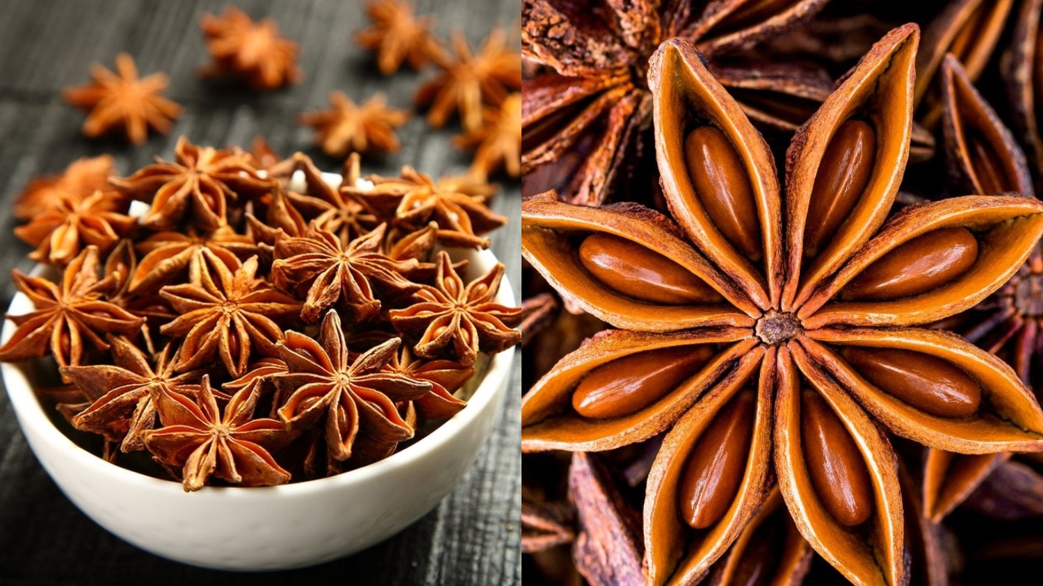 Meredakan Stres dan Menenangkan Pikiran Ini Manfaat Kembang Lawang Yang Luar Biasa! 