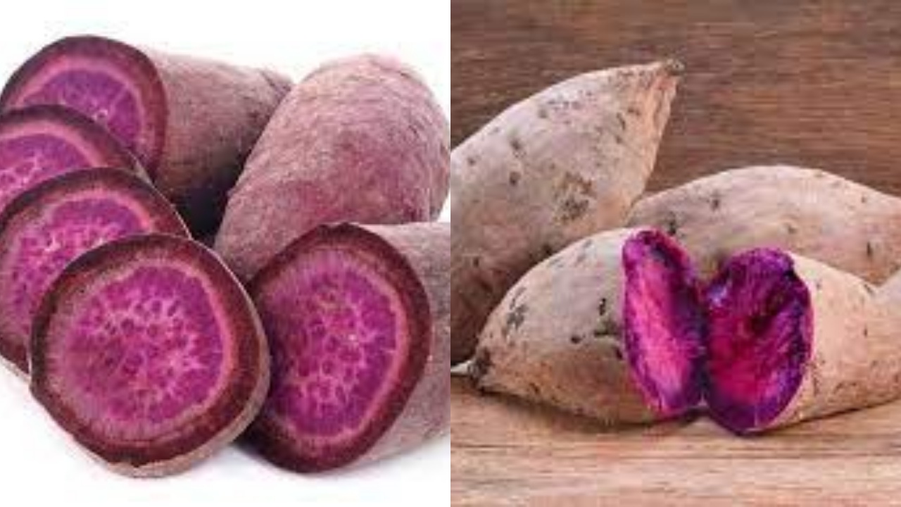 Yuk Intip! 8 Manfaat Ubi Ungu Untuk Kesehatan dan Cara Mengolahnya