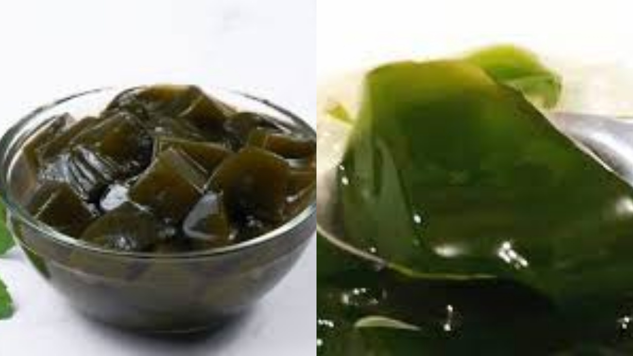 Rahasia Segar Alami: Yuk Intip Ini Manfaat Cincau Hijau Untuk Kesehatan Tubuh